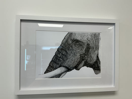 Jasmin Rees Framed Print - Elephant